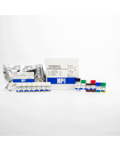 Testosterone ChLIA Kit