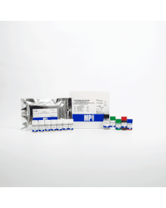 E2 (17&beta;-Estradiol) ChLIA Kit