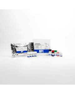 T3 Uptake ChLIA Kit