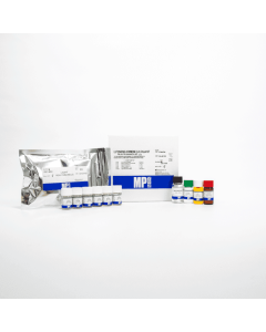 Luteinizing Hormone (LH) ChLIA Kit