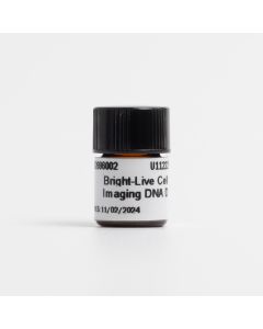 Bright-Live Cell Imaging DNA Dye
