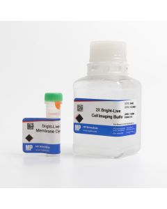 Bright Live-Cell Membrane Imaging 488G Kit