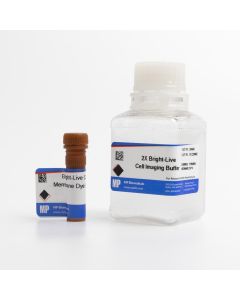 Bright-Live Cell Membrane Imaging 550R