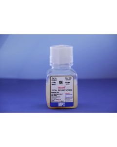 092916849-cellect-bovine-serum.jpg