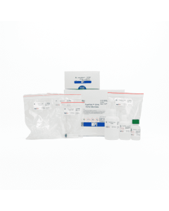 FastRNA_Spin_Kits_003.jpg