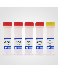 RapidTaq qPCR MasterMix (2X), 500 reactions