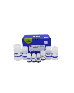 MagBeads FastDNA Kit for Blood
