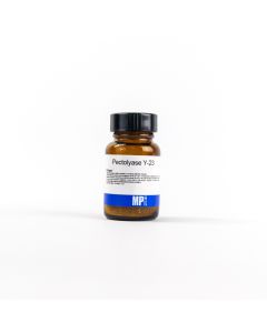 Pectolyase Y-23 (A. japonicus)