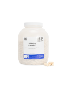 LB Medium (capsules)