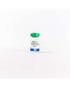 Anti-mouse IgG (H+L) (whole molecule) goat antibody, 2 mg
