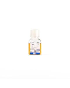 Ham's F-10 (10X) w/o L-glutamine, w/o sodium bicarbonate, with 12.4 mg/L phenol red, 100 mL