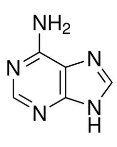 Adenine, phytopure&trade;
