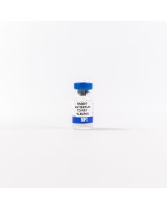 Anti-rat albumin rabbit antiserum, 1 mL