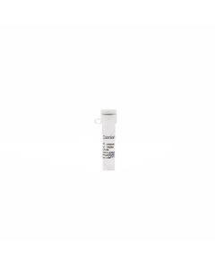 Carrier DNA, 10 mg/ml, sterile, 1.25 mL