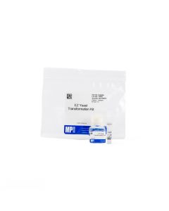 EZ-Yeast transformation kit, 200 Preps