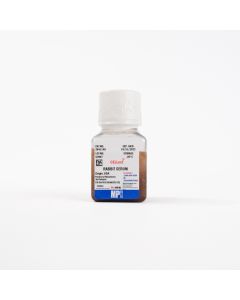 Rabbit Serum