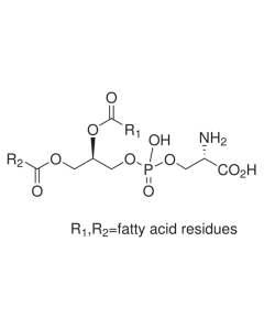 Phosphatidyl-L-serine