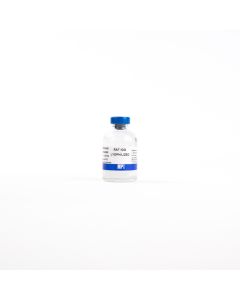IgG, rat, 100 mg