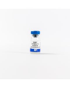 Anti-mouse IgG (whole molecule) rabbit antiserum, 2 mL