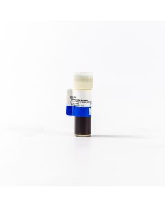 Sample loading buffer, 10 x , 5 mL
