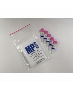 5 vials of dNTP Mix at 10 mM each; dATP, dCTP, dGTP, and dTTP