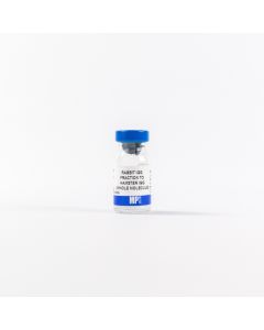 IgG Rabbit Anti-Hamster IgG (H&L), 2 mL