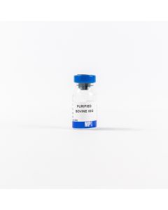 Purified Bovine IgG, 50 mg