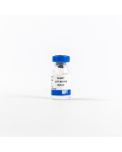Rabbit antiserum to bovine serum, 2 mL