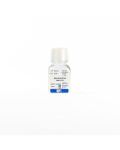 MEM Amino Acids (50X) w/o L-glutamine, 100 mL