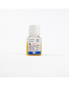 Human Serum, Pooled, 100 mL