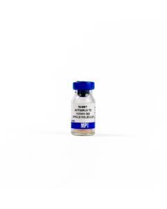 Rabbit Anti-Human IgG (H&L), 2 mL