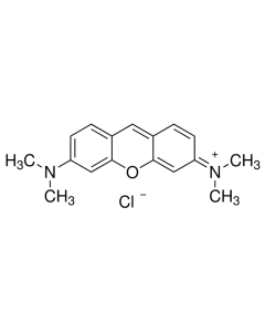 04800506.png