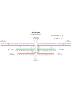 Fibrinogen, fraction I, protein content ~75%