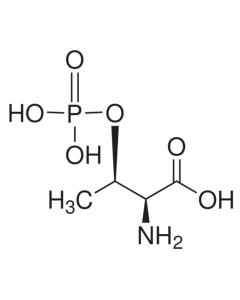 O-Phospho-L-threonine