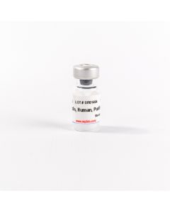 Purified Human Fibronectin, 1 mg