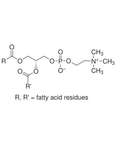 Lecithin, water dispersable grade, ≥90%