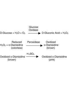 Glucose oxidase, >100 U/mg