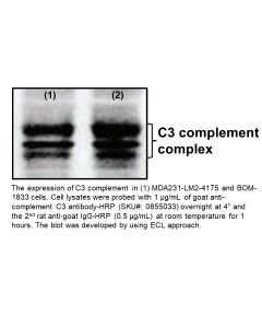 IgG Goat Anti-Human Complement C3, 2 mL