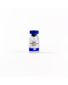 Rabbit antiserum anti-dog albumin, 2 mL