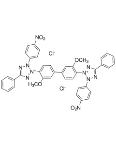 P-Nitro blue tetrazolium chloride, molecular biology reagent
