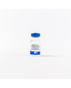 Anti-mouse IgG (whole molecule) affinity-purified sheep antibody, 2 mL