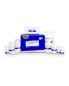 SPINeasy<sup>®</sup> DNA/RNA/Protein All-In-One Kit, 50 preps