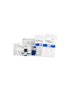 RapidPure Plasmid Mini Kit