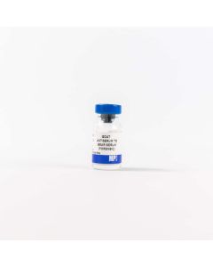 Anti-bear serum goat antiserum, 2 mL