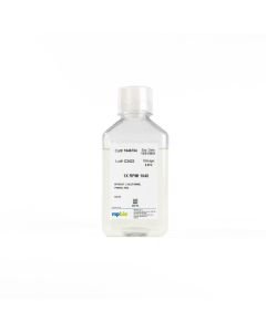 RPMI 1640 1x without L-glutamine & Phenol Red