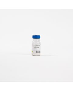 Vial of Bovine pituitary extract