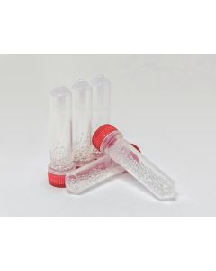 Lysing Matrix C in 2 mL tubes