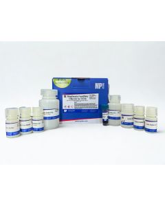 MagBeads FastDNA/RNA Kit for FFPE