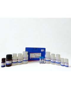 MagBeads FastRNA Kit