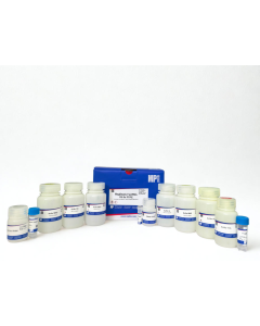 MagBeads FastRNA Kit for FFPE